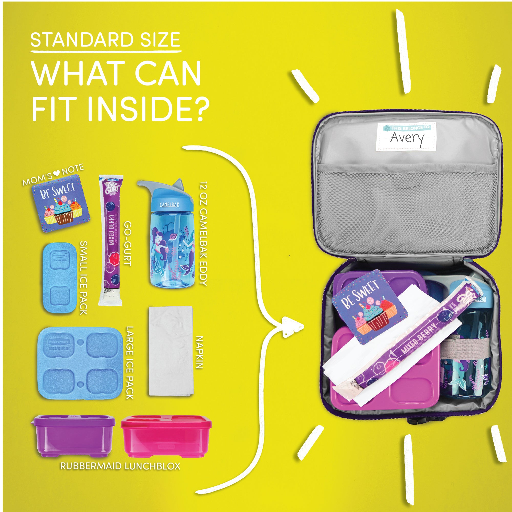 Pink Dinosaurs Standard Lunchbox