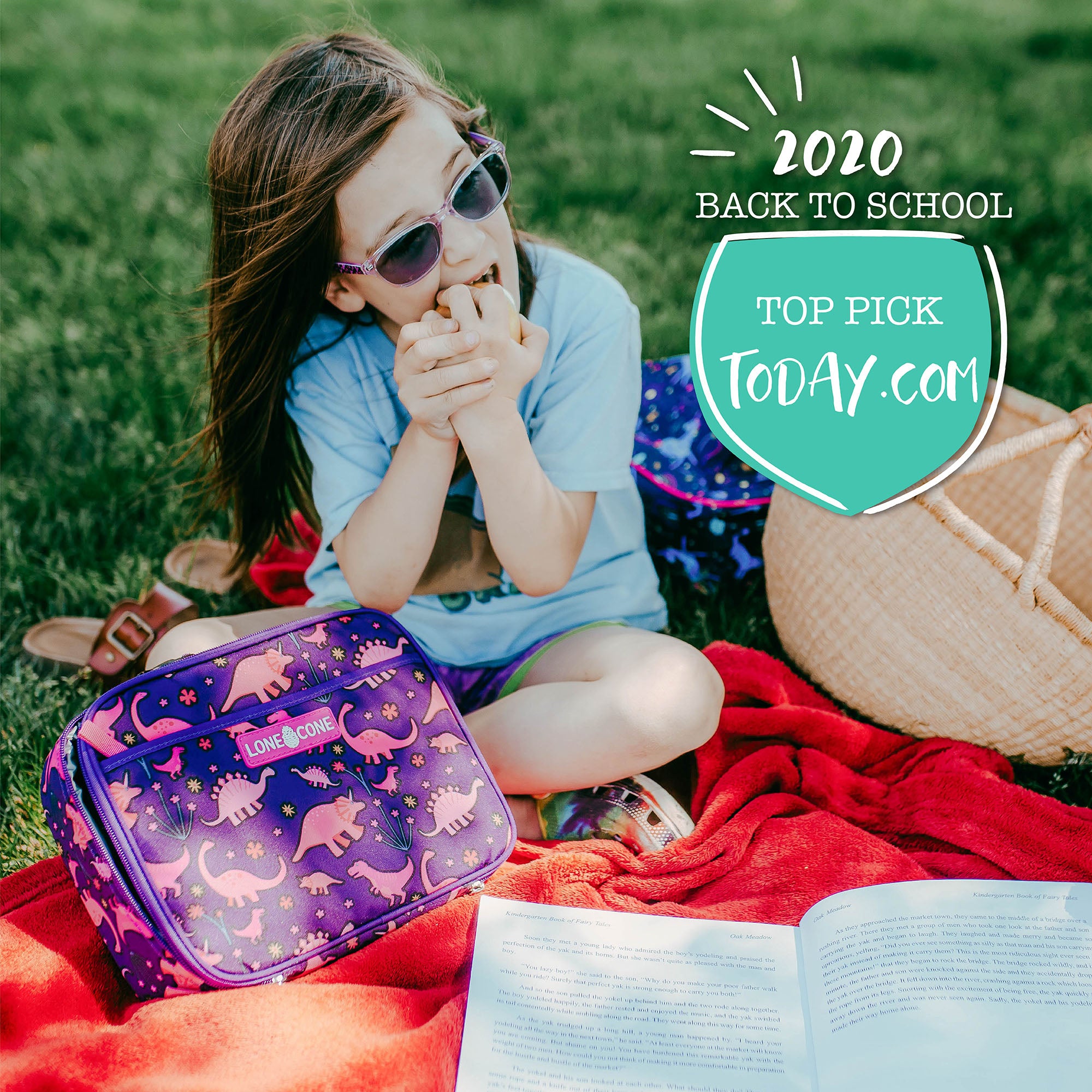 Pink Dinosaurs Standard Lunchbox