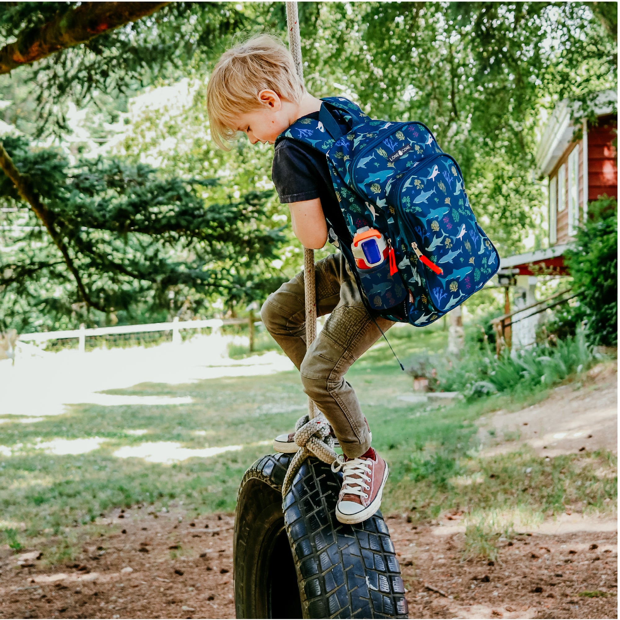 Shark clearance school backpack